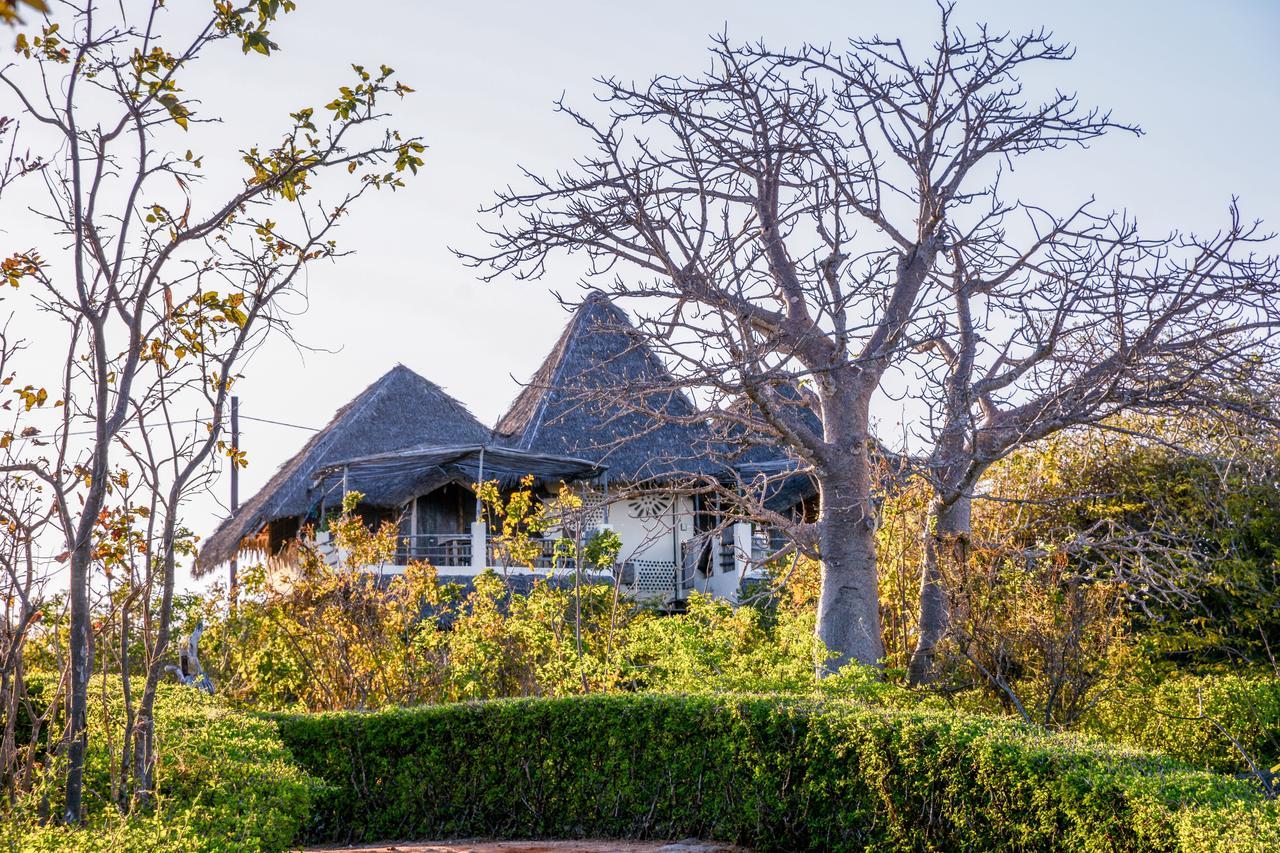 Nzuwa Lodge Pemba Exteriér fotografie